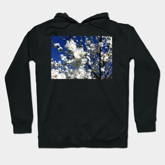 White Plum Blossom Hoodie by 1Redbublppasswo